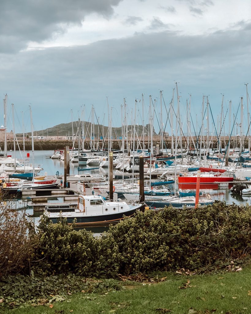 Semester abroad studying in Dublin. Daytrips to harbor with boats