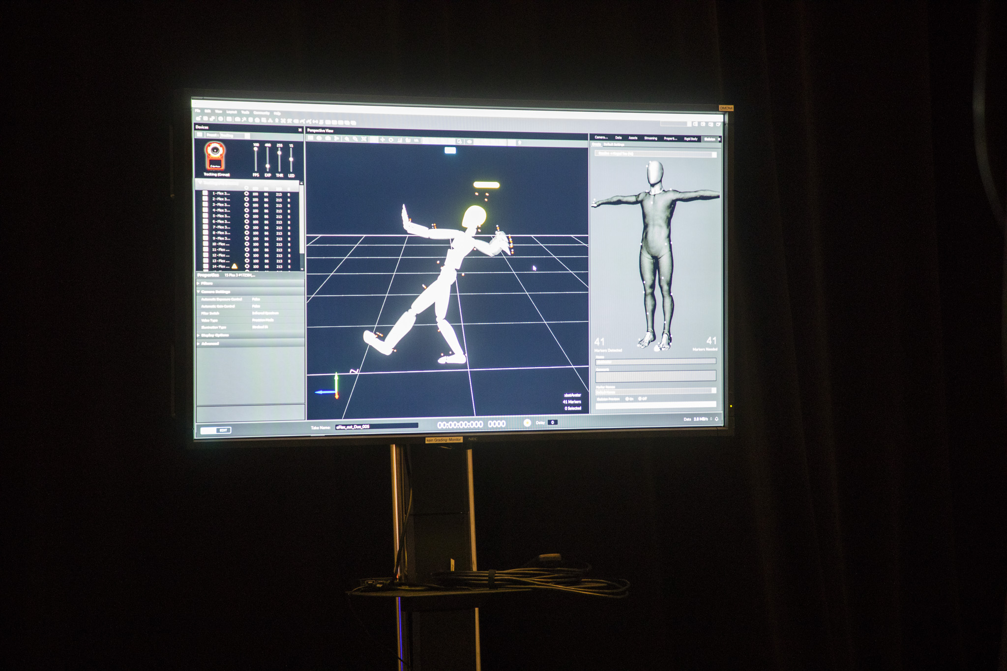 Motion Capture: Software