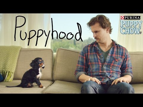 Puppyhood