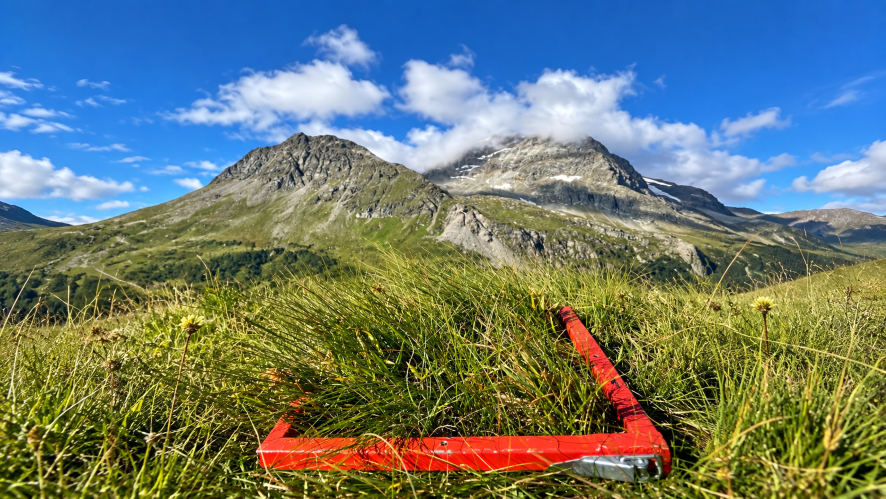 Roter Vegetationsrahmen zur Untersuchung der Biodiversität und Gefässpflanzen im Schweizer Grünland vor alpiner Berglandschaft.