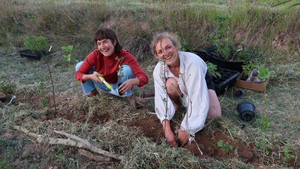Laura Vetter (rechts) und ihre Kollegin beim Pflanzen der Bäume des Agroforstsystems.