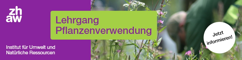 Banner zum Lehrgang Pflanzenverwendung mit verschiedenen Stauden und Pflanzen als Beispiel für eine vielfältige Bepflanzung.