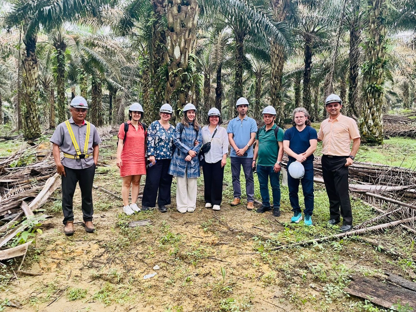 Forschende des Projekts WASTE4CHAR in einer Ölpalmenplantage in Malaysia. Im Projekt wird Pflanzenkohle aus Palmöl-Reststoffen entwickelt, um tropische Böden nachhaltig zu verbessern.