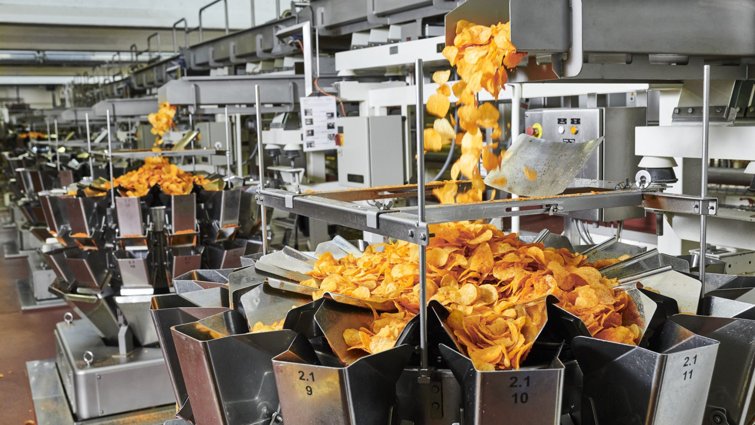 Goldgelbe Kartoffelchips fallen in einer automatisierten Produktionsanlage von Zweifel Chips & Snacks auf eine Mehrkopfwaage mit mehreren Wiegebehältern aus Edelstahl.