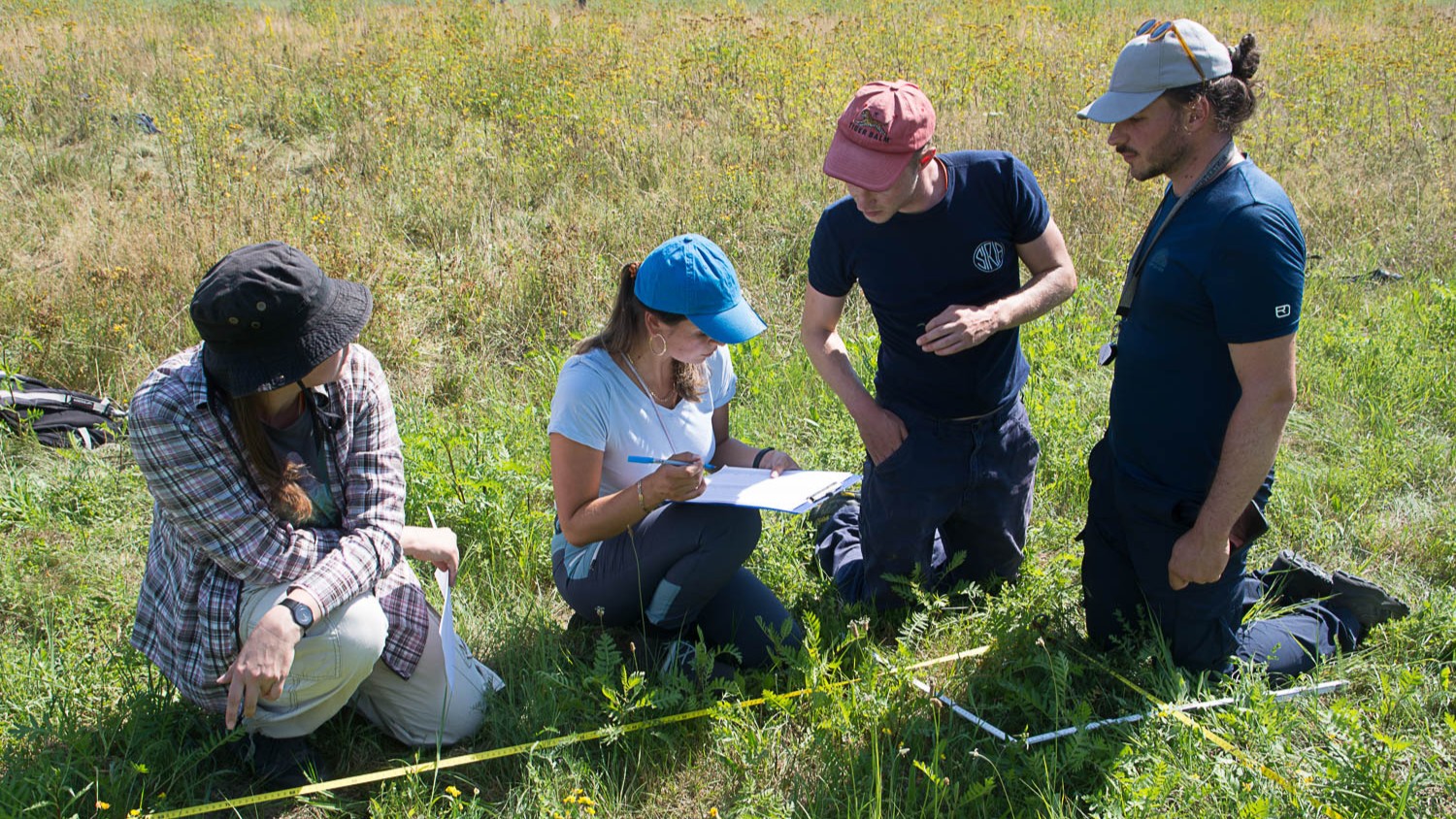 Vier Studierende untersuchen die Vegetation einer Wiese in Białowieża, Polen. Sie bestimmen Pflanzenarten und dokumentieren ihre Funde im Rahmen des Biodiversitätsmonitorings.