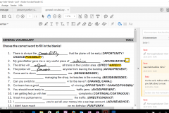 Adobe Reader - Windows