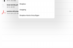 Adobe Reader Speicherdienste
