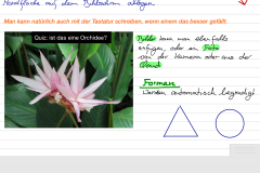 GoodNotes Formatierungen