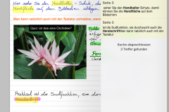 GoodNotes Handschrift durchsuchen