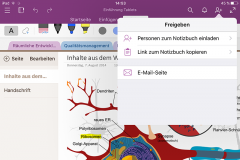 OneNote Sharing