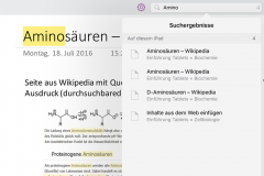 OneNote Suche in Notiz