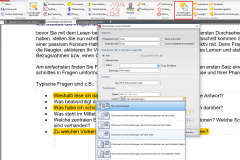 PDF XChange Editor Anmerkungen exportieren
