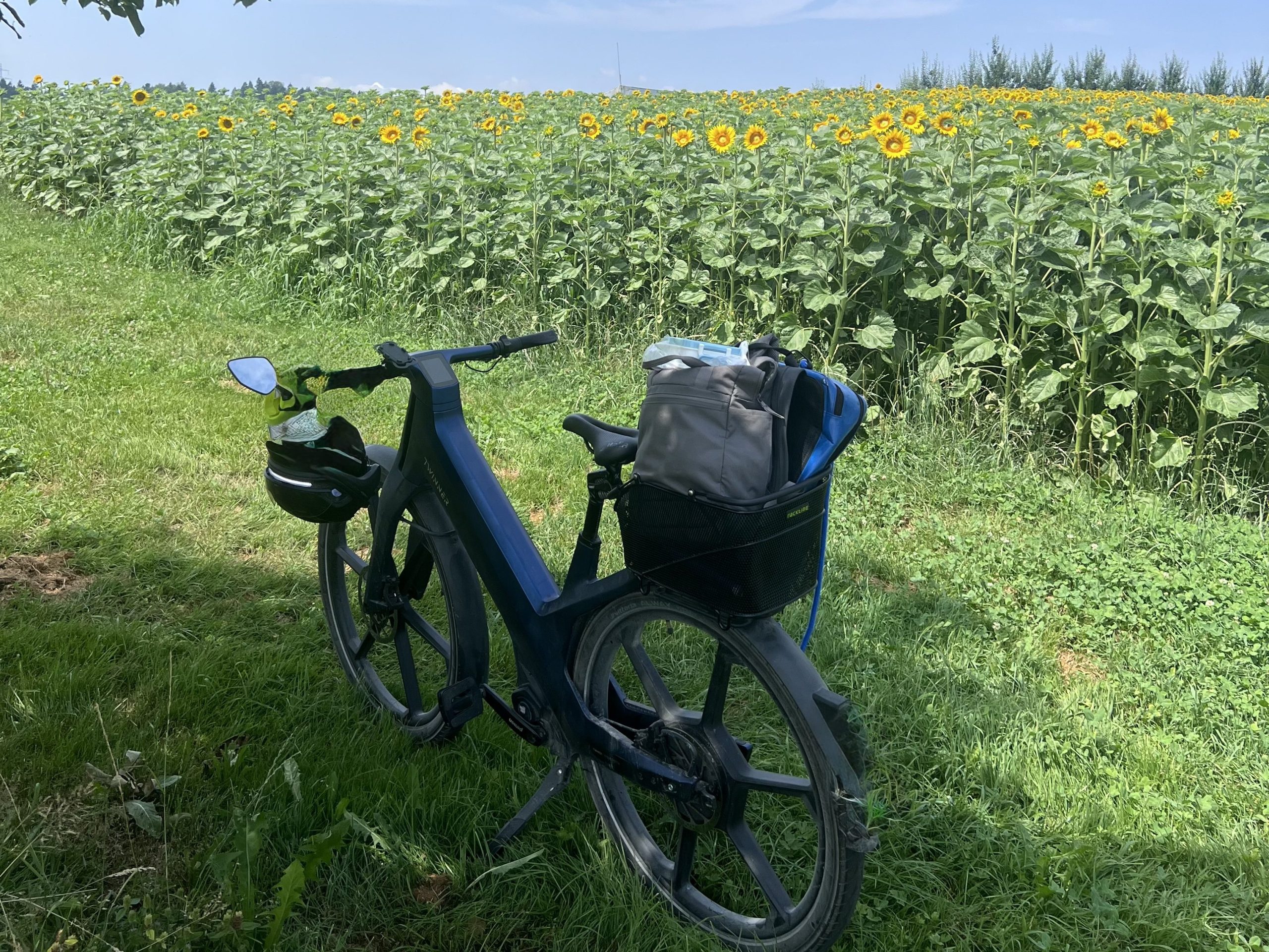 e-Bike vor einem Sonnenblumenfeld.