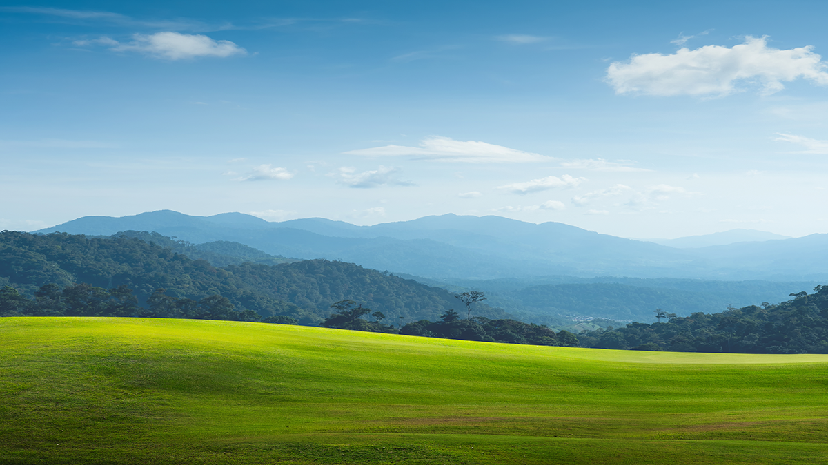 Landschaft mit grüner Wiese im Vordergrund, Hügel im Hintergrund