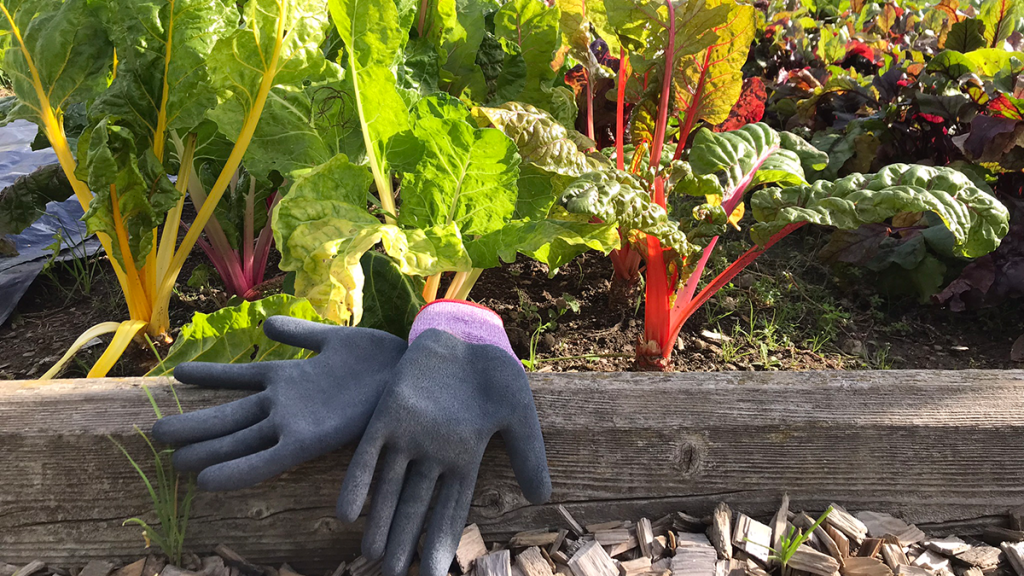 Gartenhandschuhe