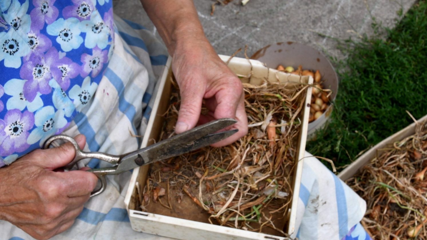 care farming im Alter